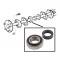 Dennis Carpenter Rear Axle Bearing - 1948-70 Ford Truck, 1966-77 Ford Bronco, 1949-66 Ford Car   8M-1225-B